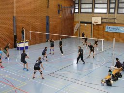 Volleyball_Hallenspieltag_2021