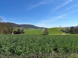 Wanderung_April_2026