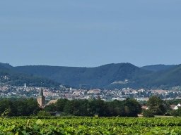 turnfahrt_2024
