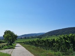turnfahrt_2024