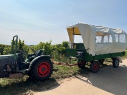 turnfahrt_2024