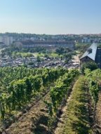 turnfahrt_2024